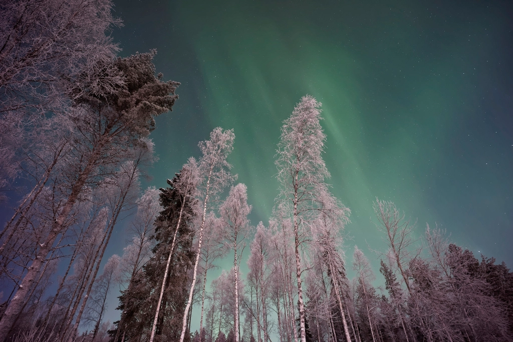 Santa Claus Village & Rovaniemi: Winter Wonderland
