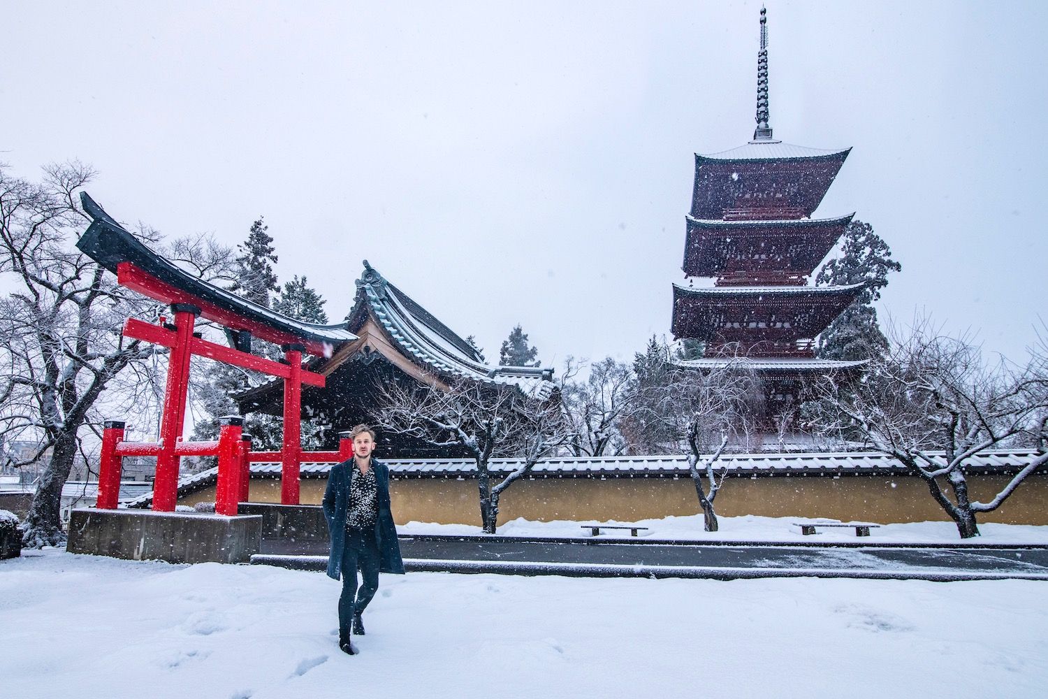 Top Winter Experiences in Tokyo, Osaka, and Kyoto