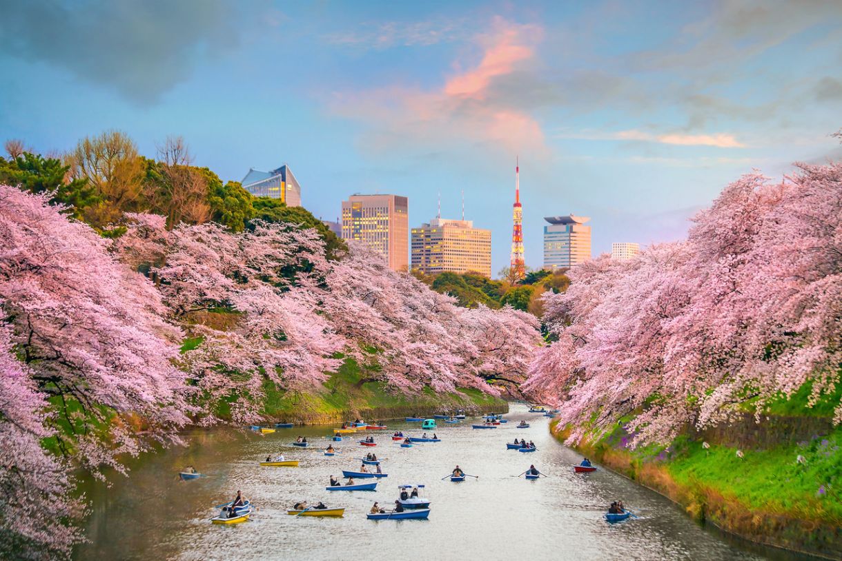 When Is the Best Time to Visit?